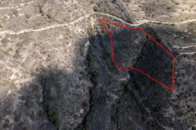 Land - 13528, photo 1