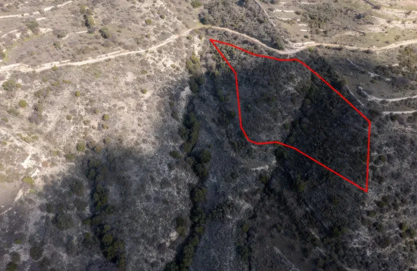 Land - 13528, photo 2