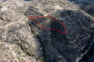 Land - 13528, photo 2