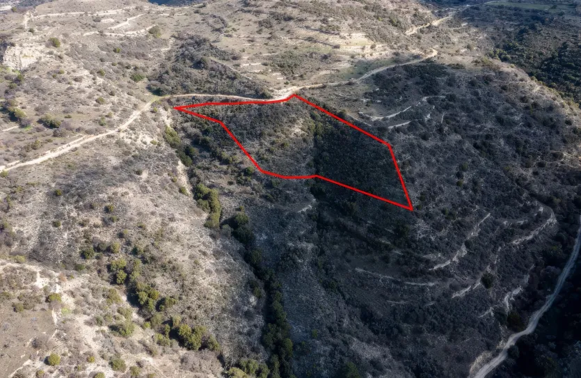 Land - 13528, photo 3