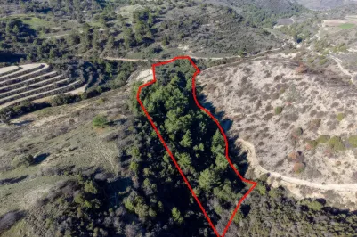 Земельный участок - 13526, photo 1