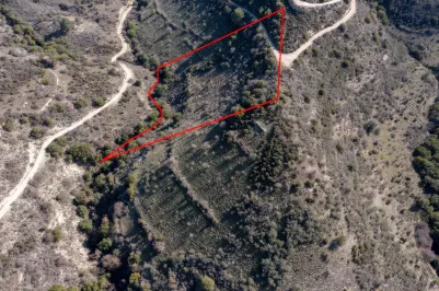 Land - 13525, photo 1