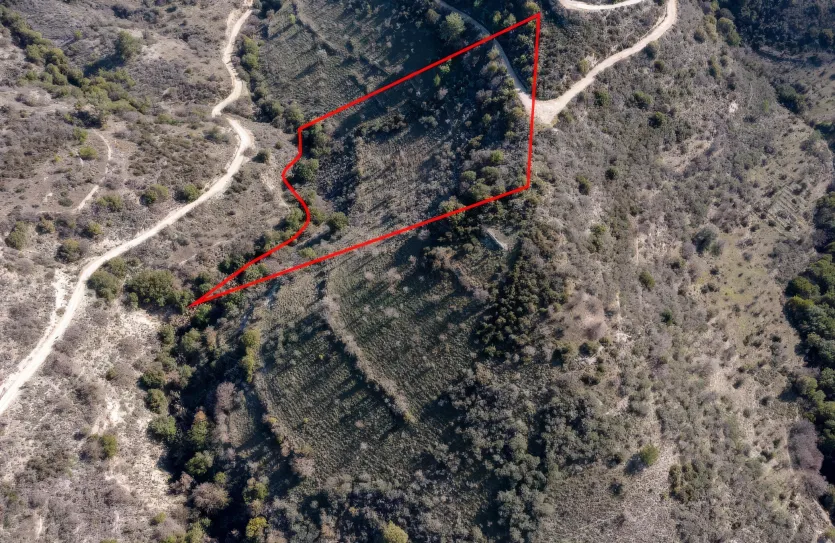 Land - 13525, photo 2