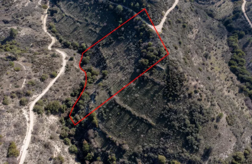 Land - 13525, photo 3