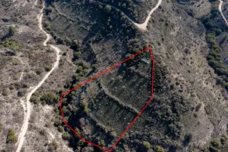 Land in Dora, Limassol - 13522