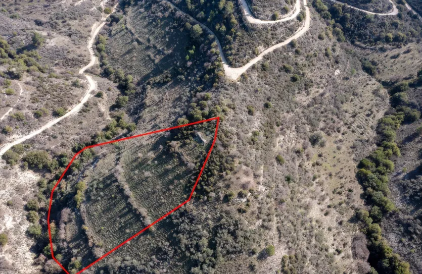 Land - 13522, photo 2