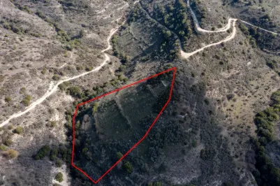 Land - 13522, photo 2