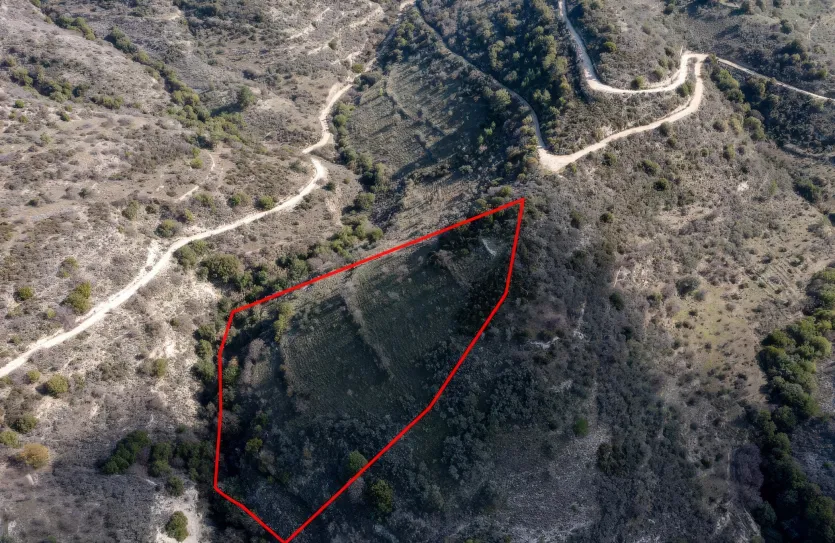 Land - 13522, photo 3