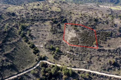 Land - 13521, photo 2