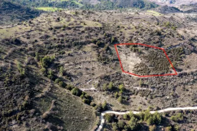 Land - 13521, photo 1