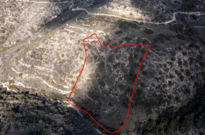 Land - 13520, photo 1