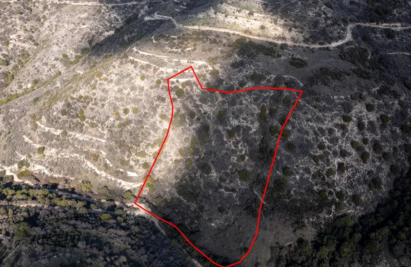 Land - 13520, photo 2