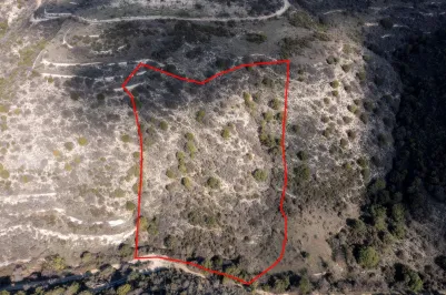 Land - 13520, photo 2