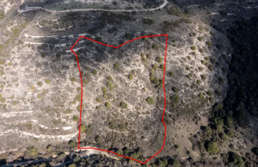 Land - 13520, photo 3