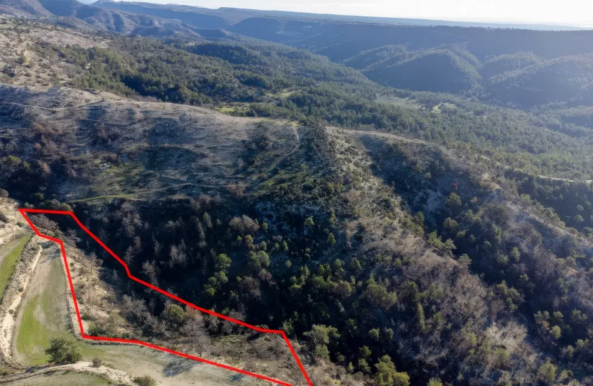 Land for sale - 13518