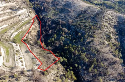 Land - 13518, photo 1