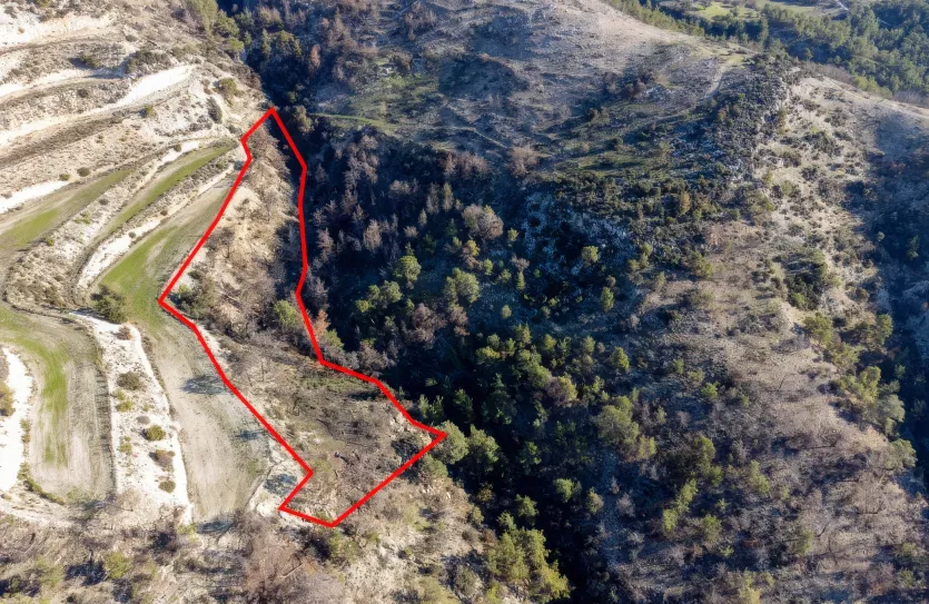 Land - 13518, photo 2