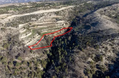 Land - 13518, photo 2