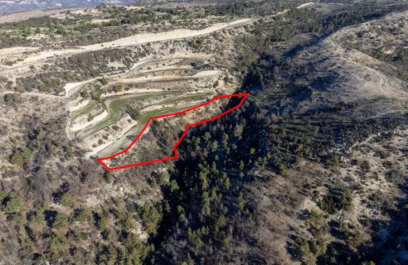 Land - 13518, photo 3