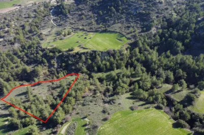 Land - 13515, photo 1