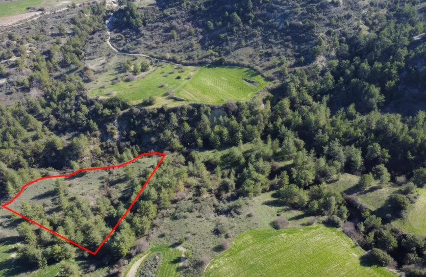 Land - 13515, photo 2