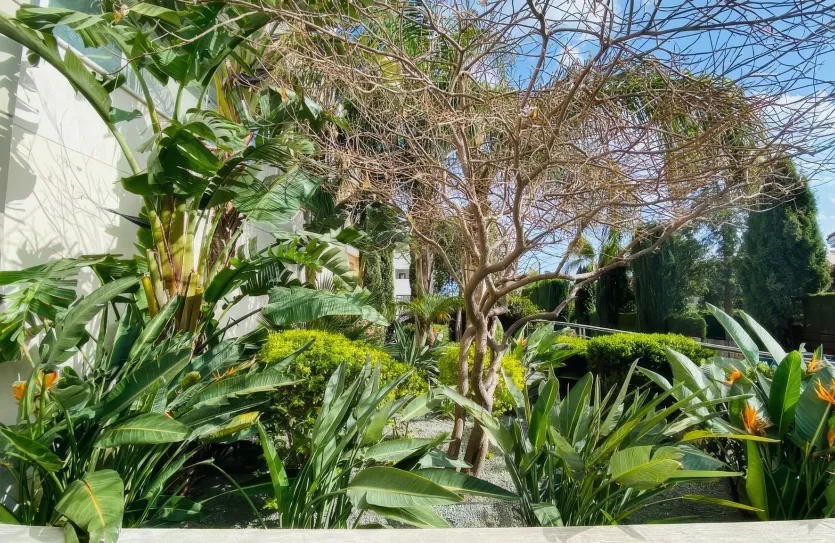 4-bedroom penthouse - 13759, photo 30