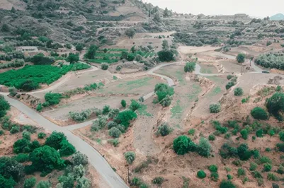 Plot - 13826, photo 1