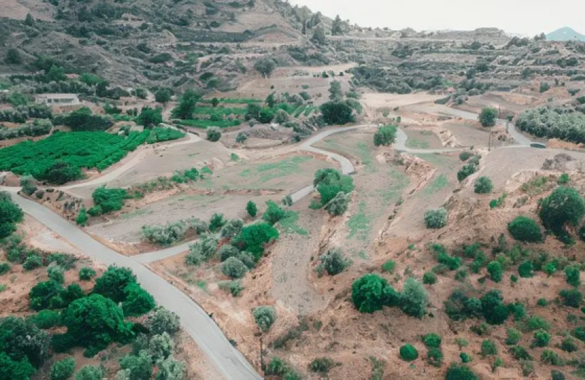 Plot - 13826, photo 2