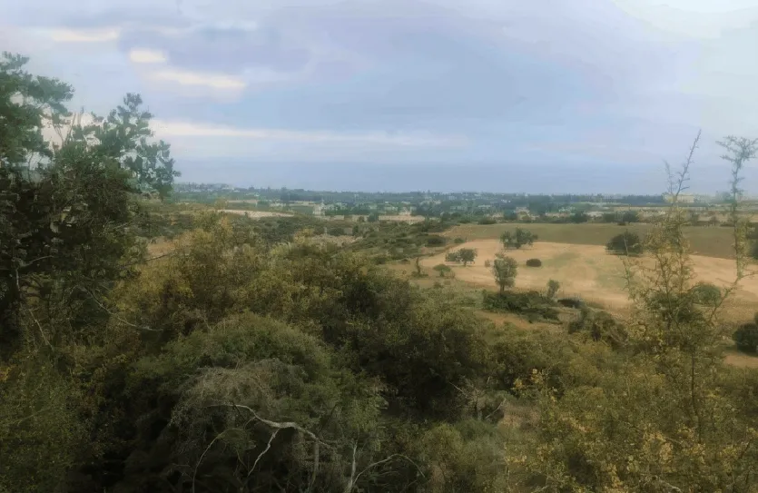 Plot for sale - 13849