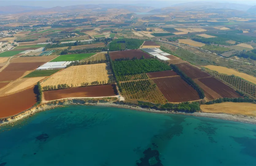 Land - 13982, photo 3