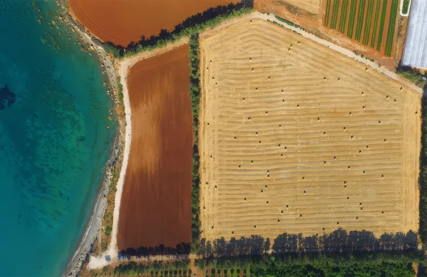 Land - 13982, photo 6