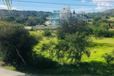 Residential plot - 14028, photo 1