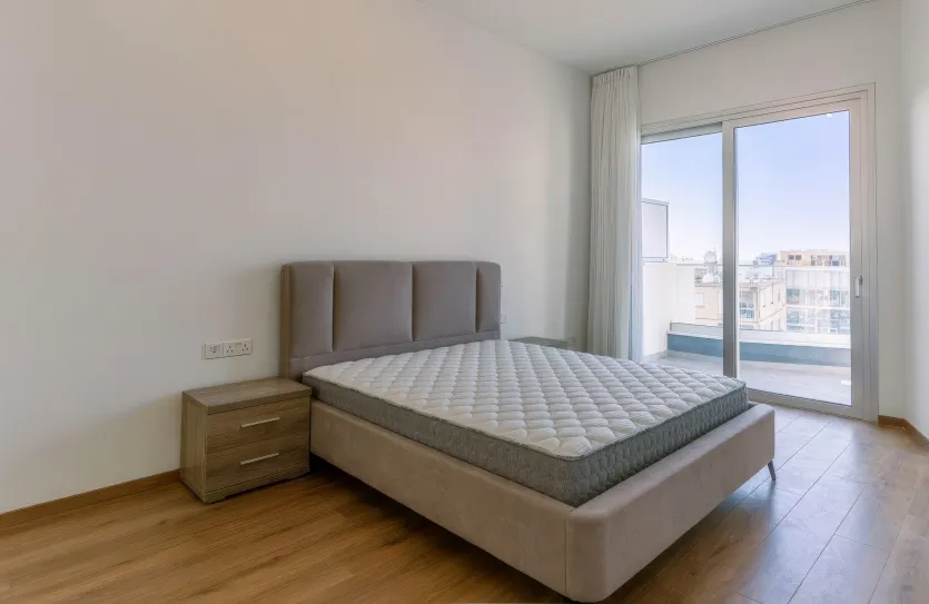 4-bedroom penthouse - 14298, photo 4