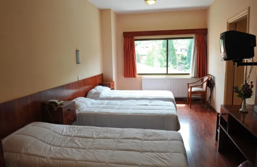 Hotel - 14231, photo 5