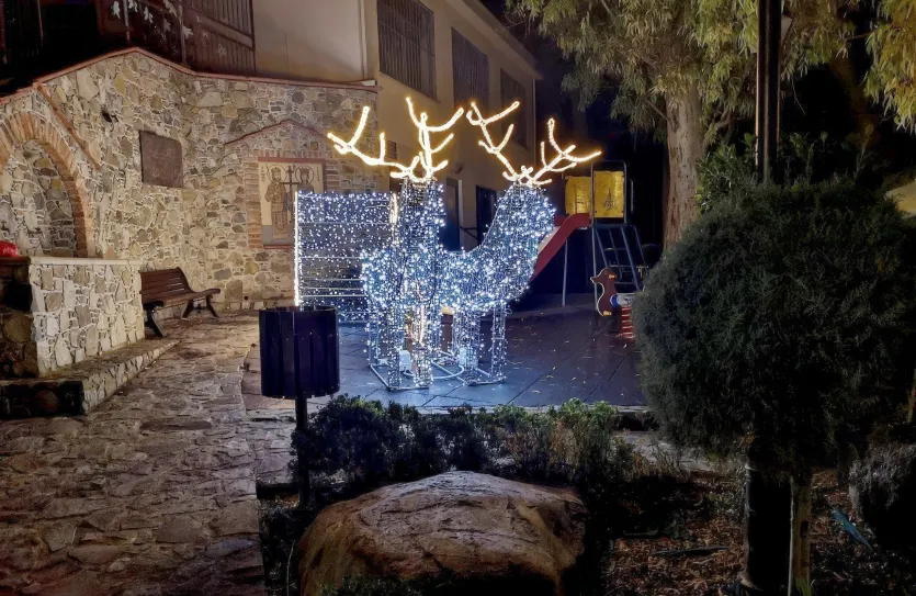 Hotel - 14231, photo 4