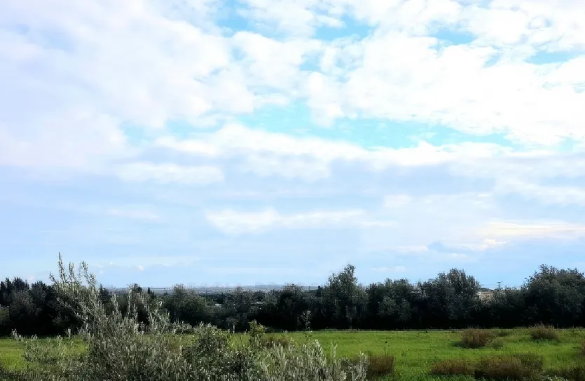 Plot for sale - 14203