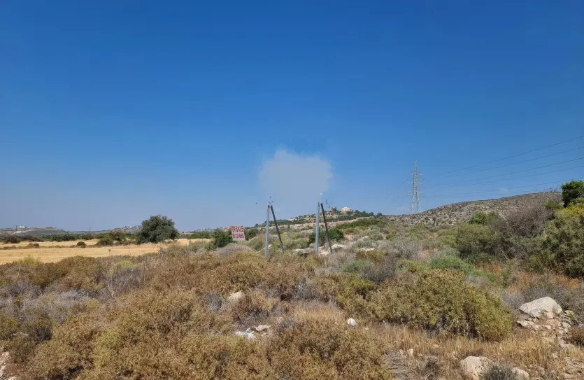 Plot - 14195, photo 4