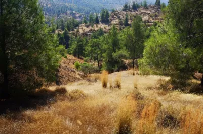 Земельный участок - 14347, photo 1