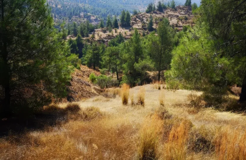 Земельный участок - 14347, photo 2