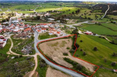 Land - 14351, photo 2