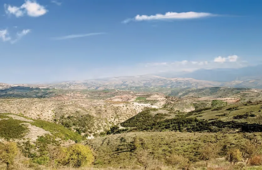 Дом с 3-мя спальнями - 14198, photo 2