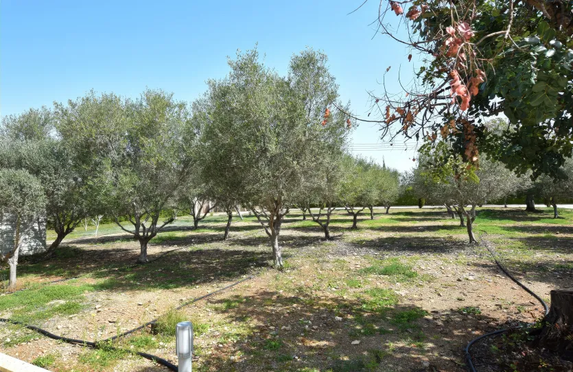 5-bedroom house - 14292, photo 20