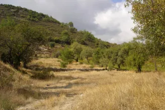Residential plot in Pera Pedi, Limassol - 14500