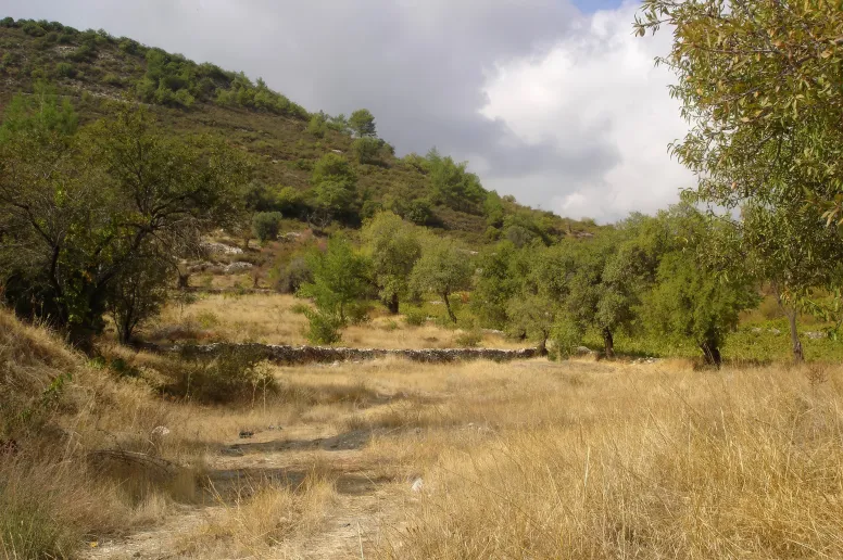 Участок для жилой застройки в Пера Педи, Лимассол