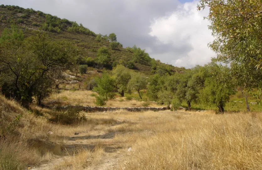 Residential plot for sale - 14500