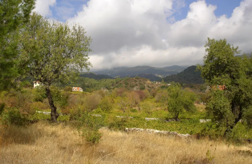 Residential plot - 14500, photo 4