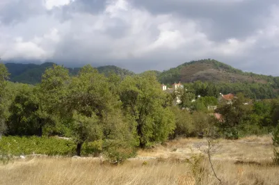 Residential plot - 14500, photo 2