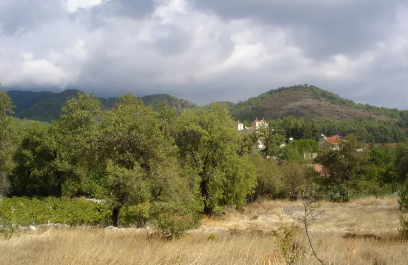 Residential plot - 14500, photo 3