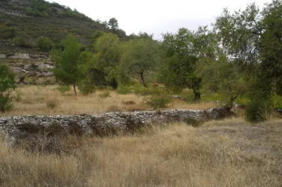 Residential plot - 14500, photo 1