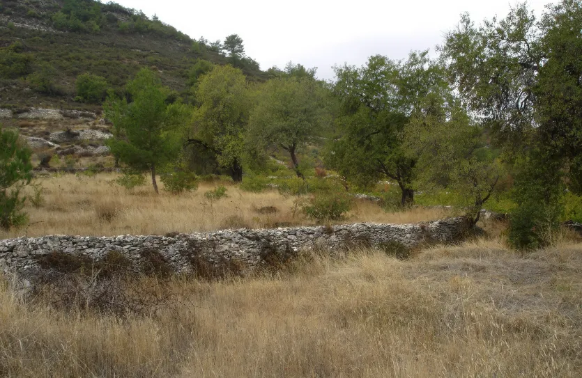 Residential plot - 14500, photo 2